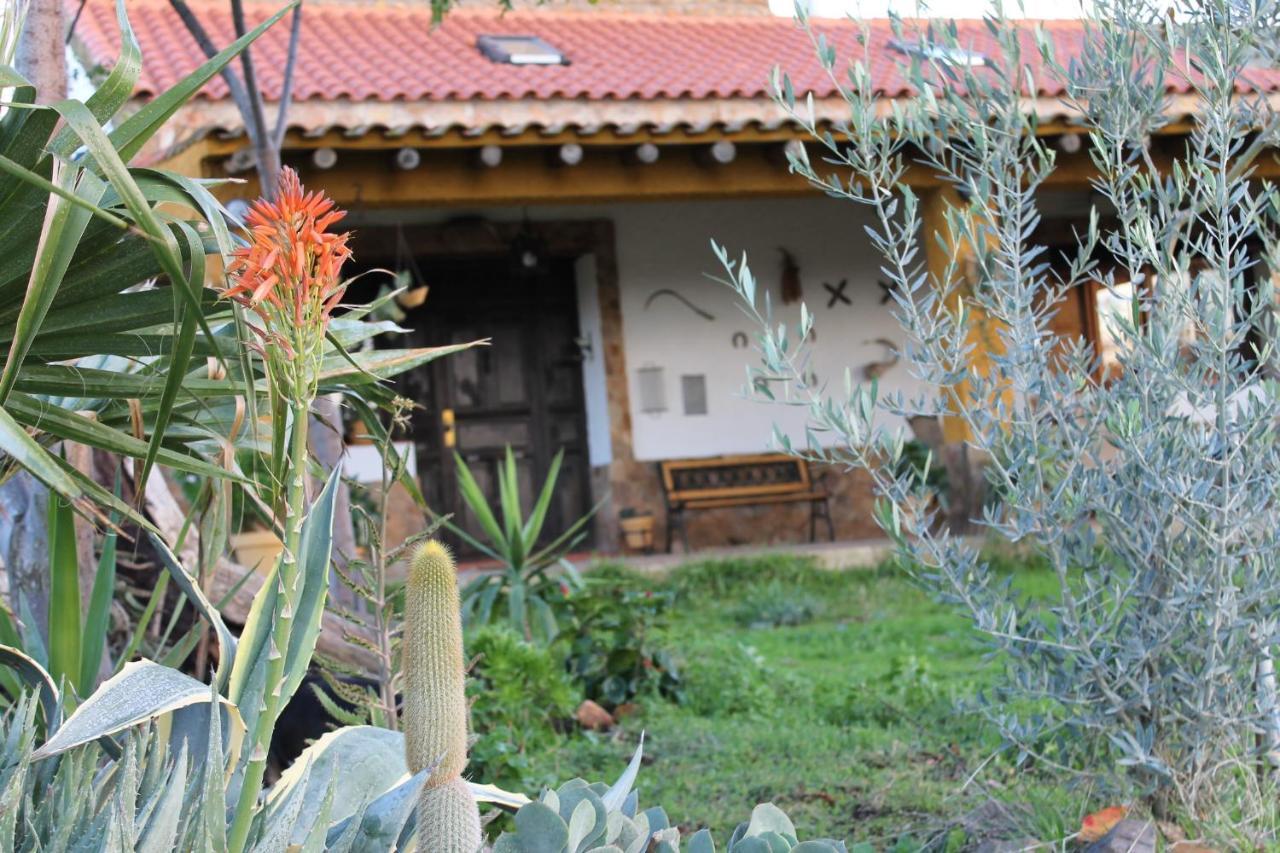 Casa Rural La Coscoja 메리다 외부 사진