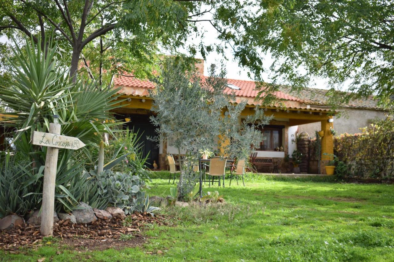 Casa Rural La Coscoja 메리다 외부 사진